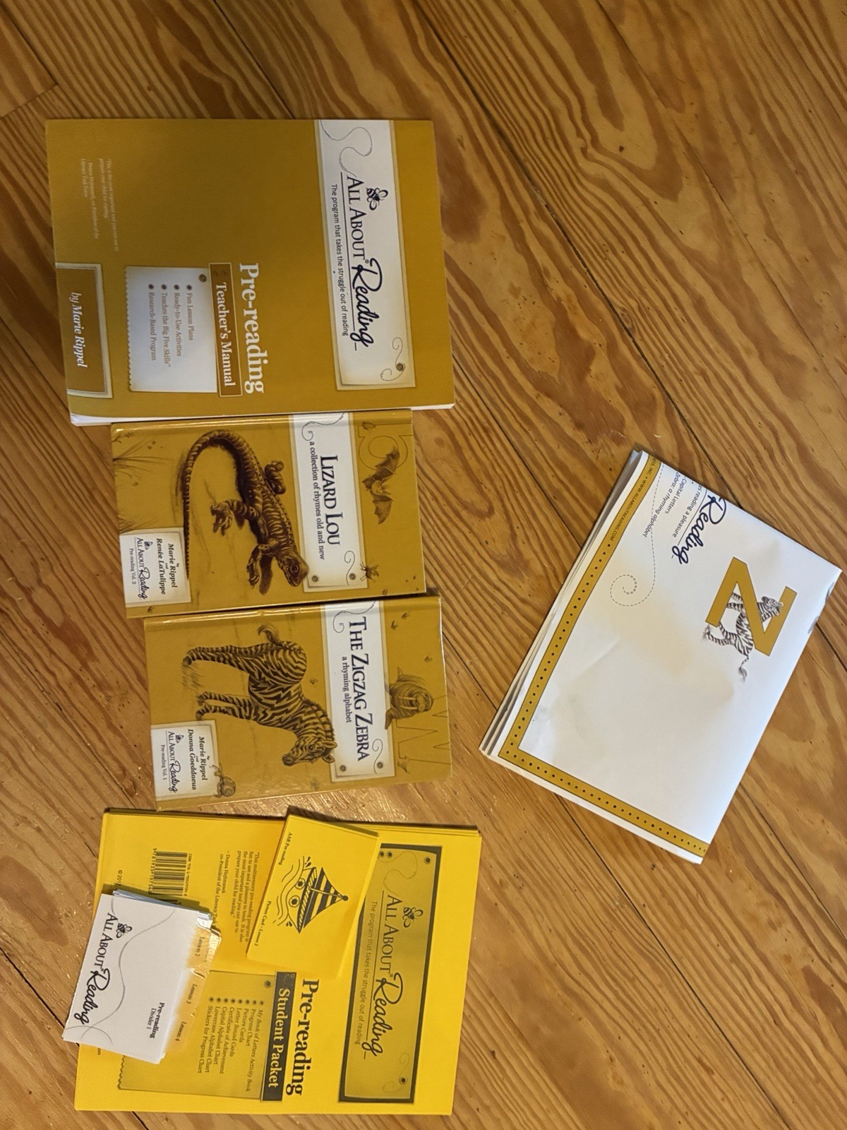 All About Reading prereading set missing my big book of letters student Act book