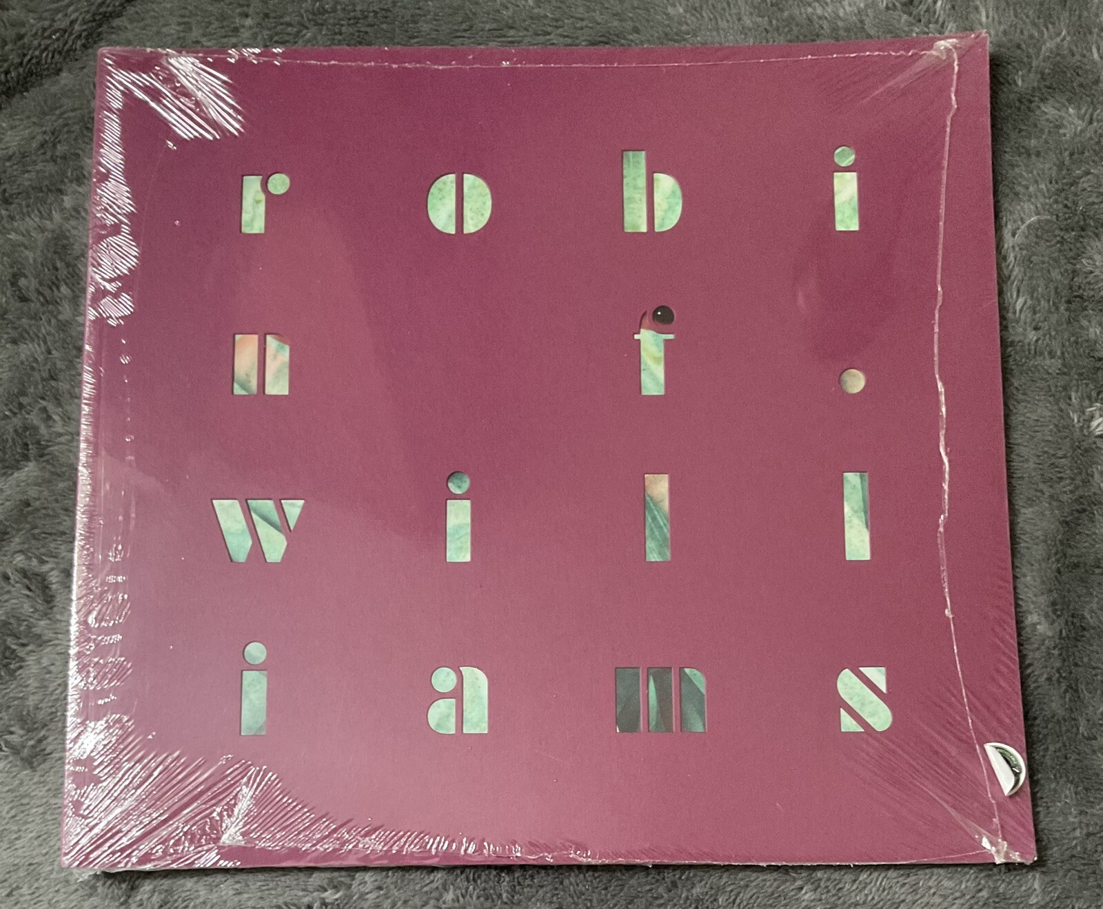 Robin F. Williams Exhibition Catalogue: Outlookers/Final Resting Face