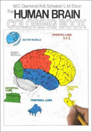 The Human Brain Colouring Book (Coloring Concepts Series), Marion C. Diamond, Ar
