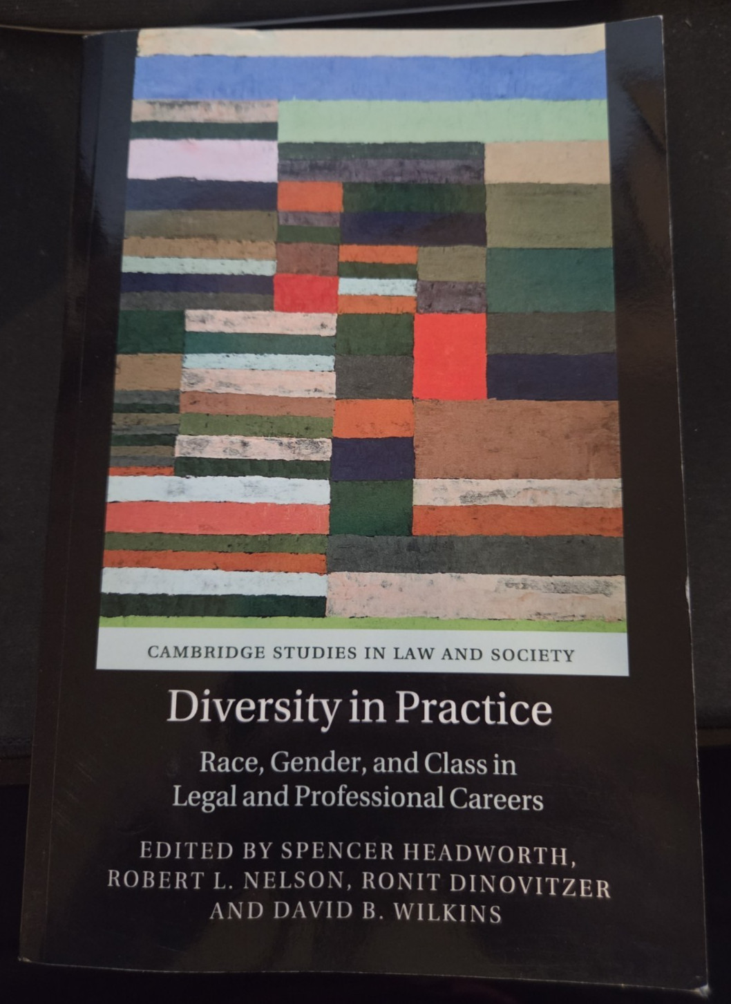 Diversity in Practice : Race, Gender, & Class in Legal & Professional Careers