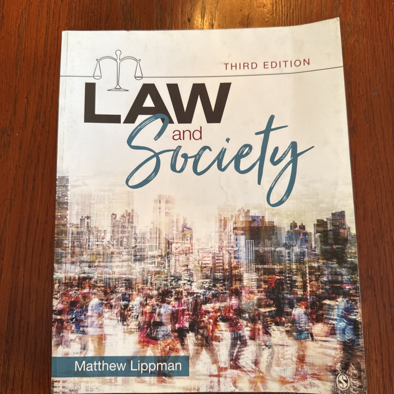 Law and Society by Matthew Lippman (2020, Trade Paperback)