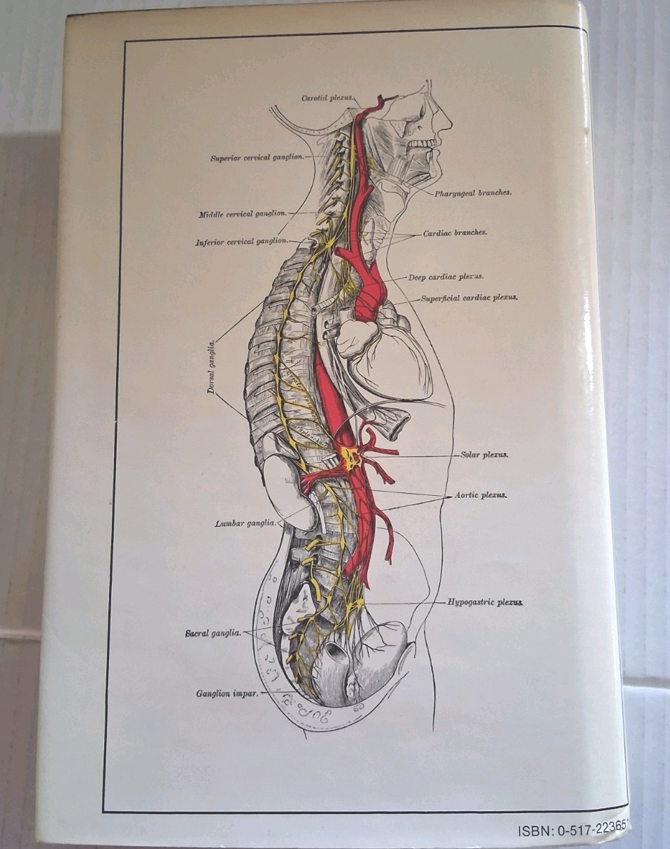 Gary’s Anatomy ’77 Ed Hardback Good Condition Yellowed Pages 780 Illustrations