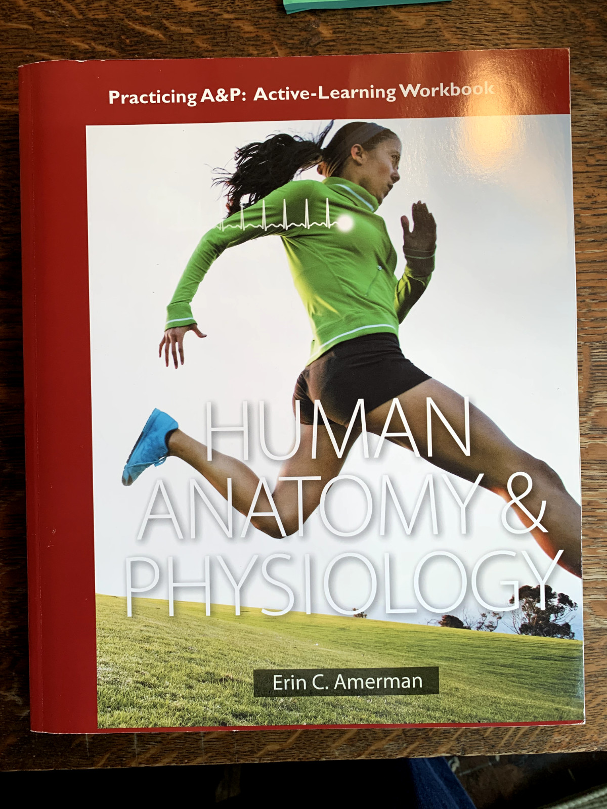 Practicing A&P Workbook for Human – Paperback, by Amerman Erin C. – Good o