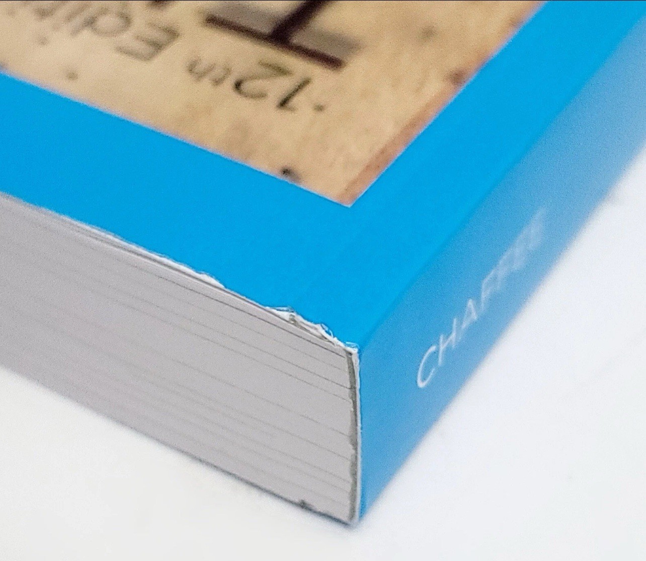CENGAGE Thinking Critically 12th Edition John Chaffee 978133755850-1 Paperback