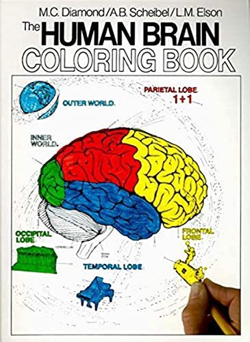 The Human Brain Coloring Book: A Co…, Scheibel, Arnol