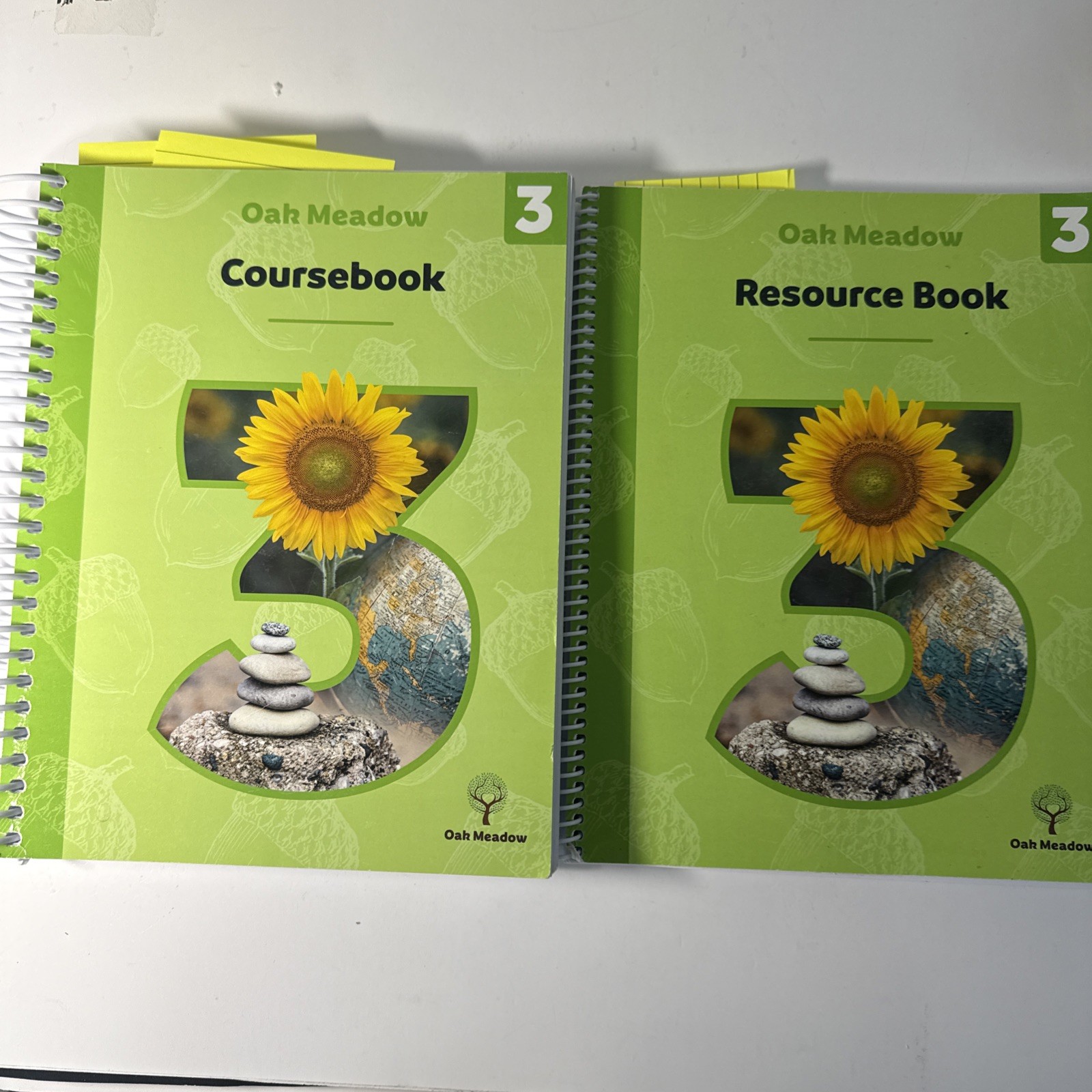 Oak Meadow Grade 3 (2019) Coursebook &Resource Book, (Few Pages W/Notes & Marks)