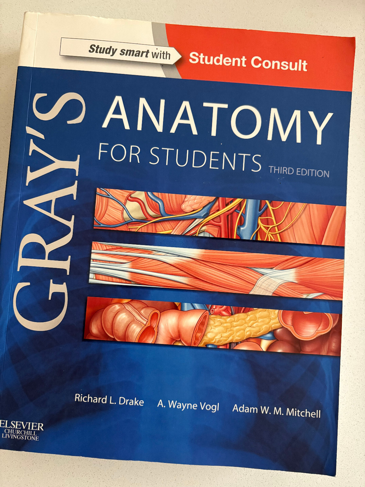 Gray’s Anatomy for Students Third 3rd Edition- USED great condition