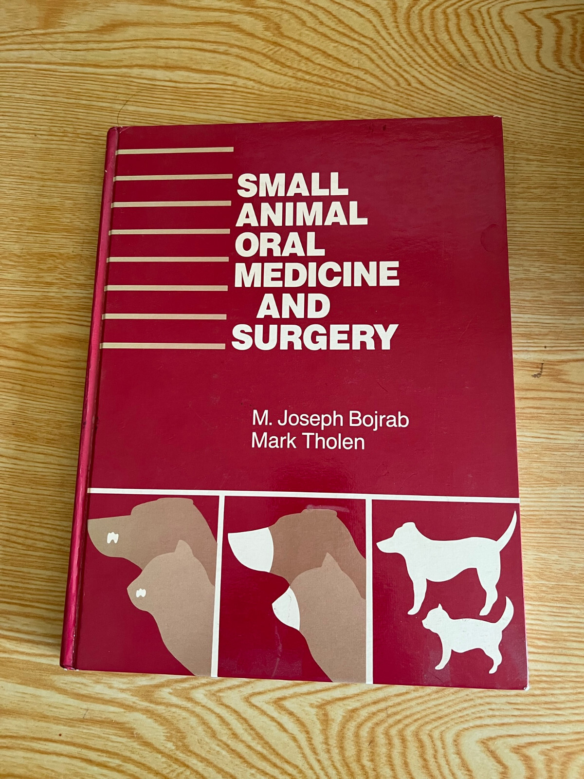 Small Animal Oral Medicine And Surgery by M. Joseph Bojrab