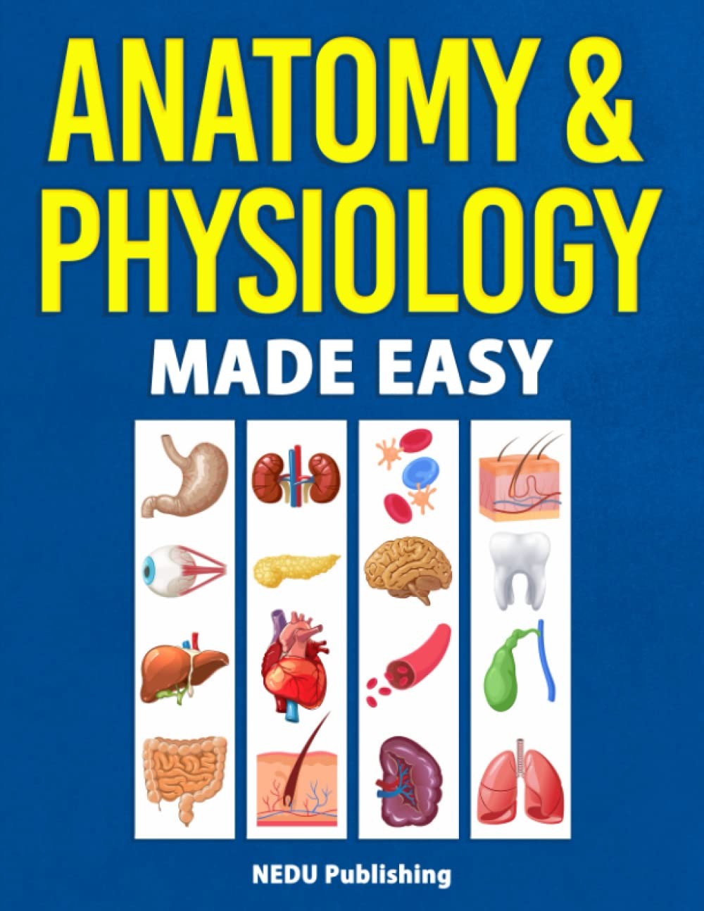 Anatomy & Physiology Made Easy Paperback by Nedu