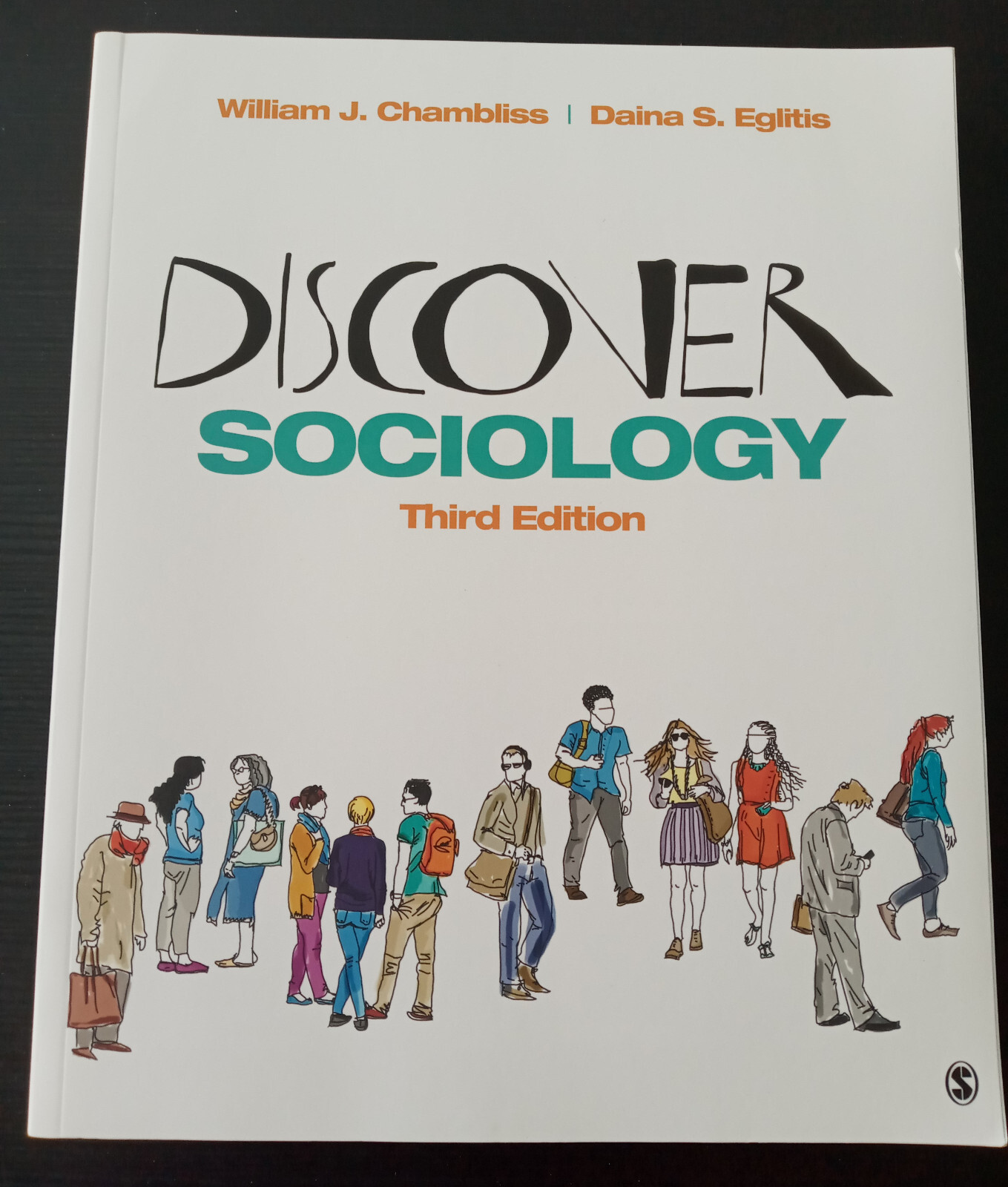 Discover Sociology 3rd edition by Eglitis and Chambliss (2018, paperback)