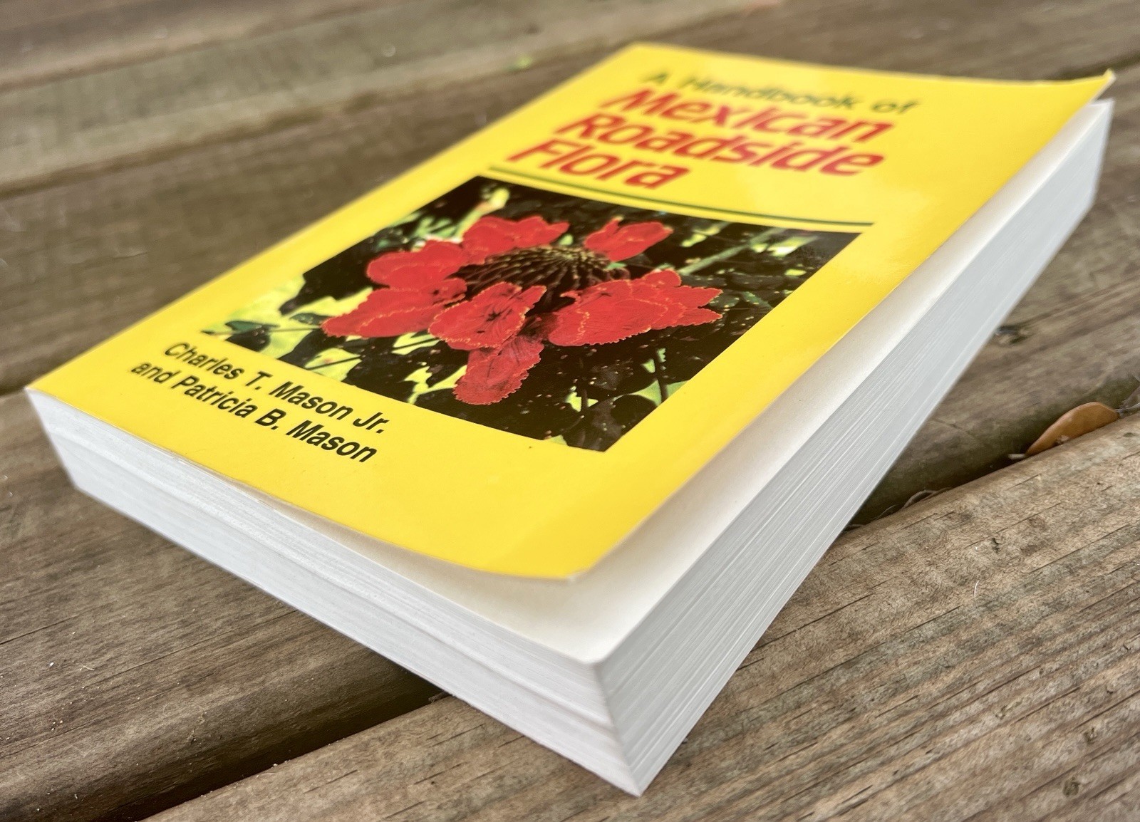 A Handbook of Mexican Roadside Flora 1987 Mason & Mason PB Identification Guide