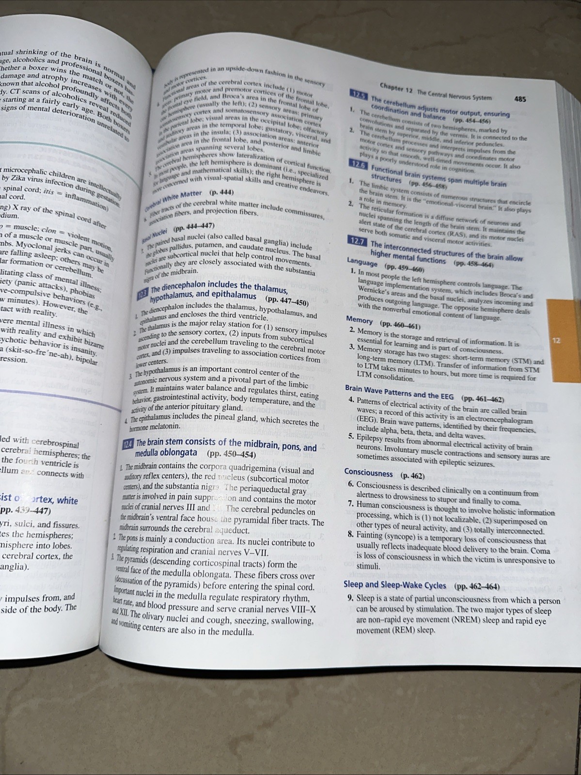Human Anatomy and Physiology by Elaine Marieb and Katja Hoehn (2018, Hardcover)