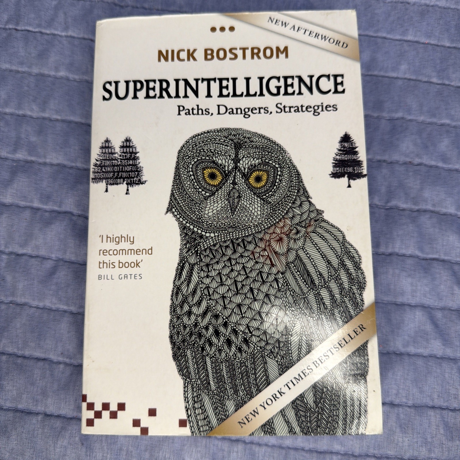 Superintelligence: Paths, Dangers, Strategies | Nick Bostrom | Self Help |