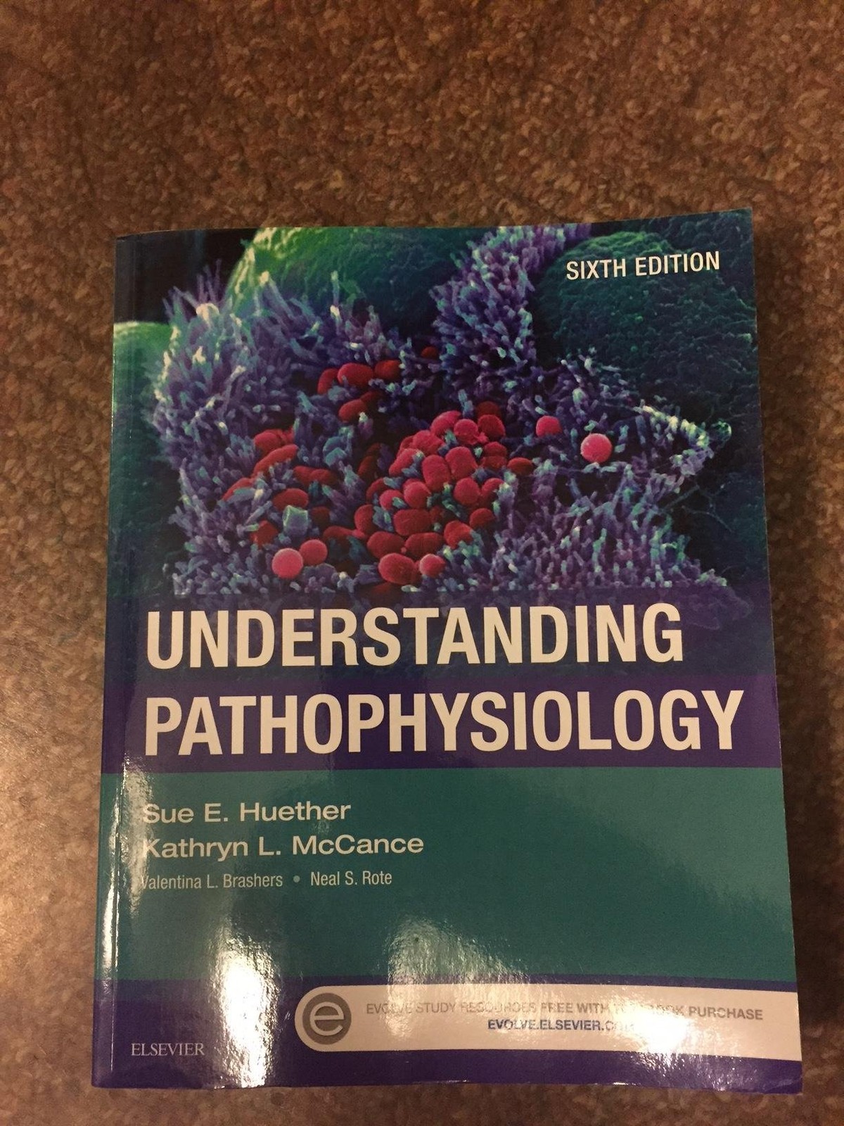 UNDERSTANDING PATHOPHYSIOLOGY