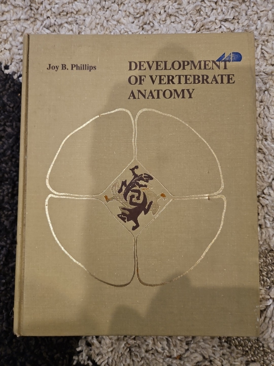 Development of Vertebrate Anatomy by Joy Burcham Phillips (Hardcover)