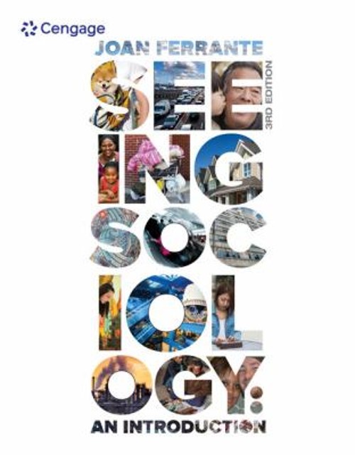 Seeing Sociology : An Introduction Paperback Joan Ferrante