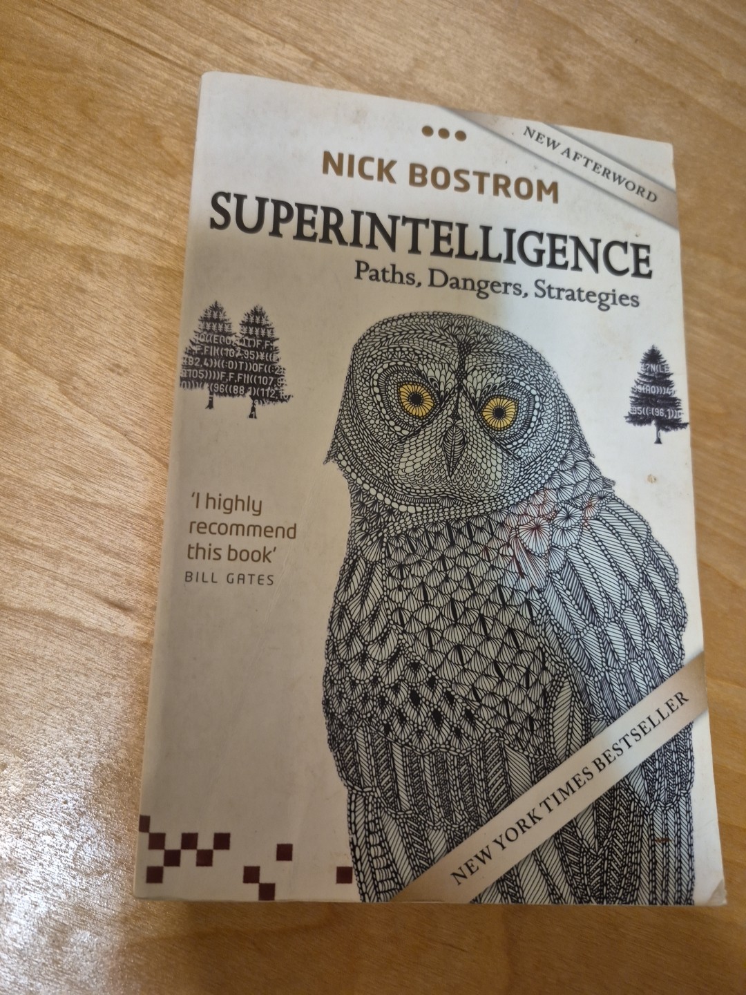 Superintelligence : Paths, Dangers, Strategies by Nick Bostrom (2016, Trade…