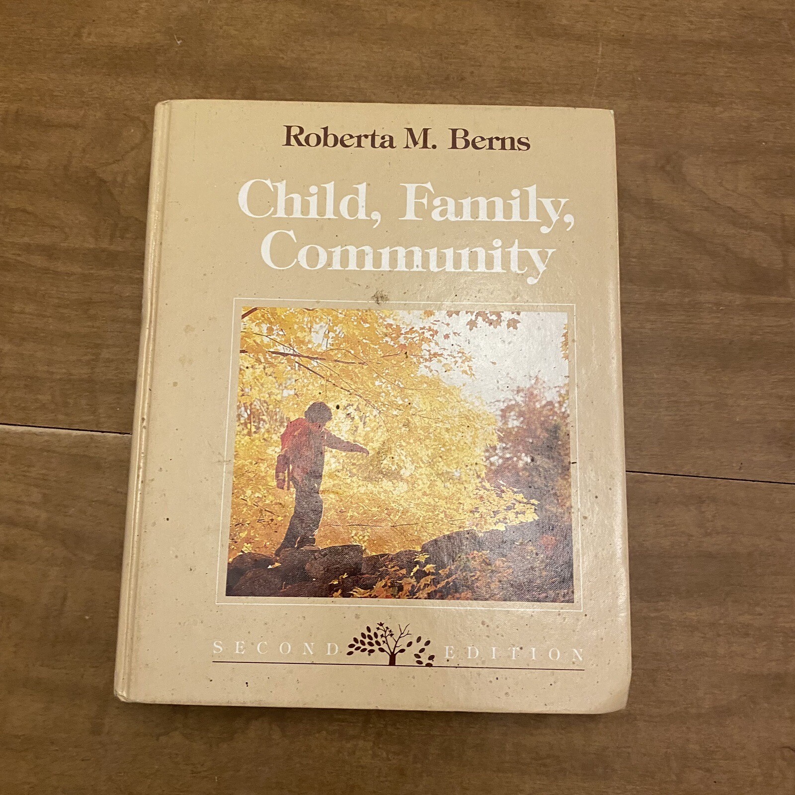 Roberta Berns Child Family Community Second Edition 1989 0030228484