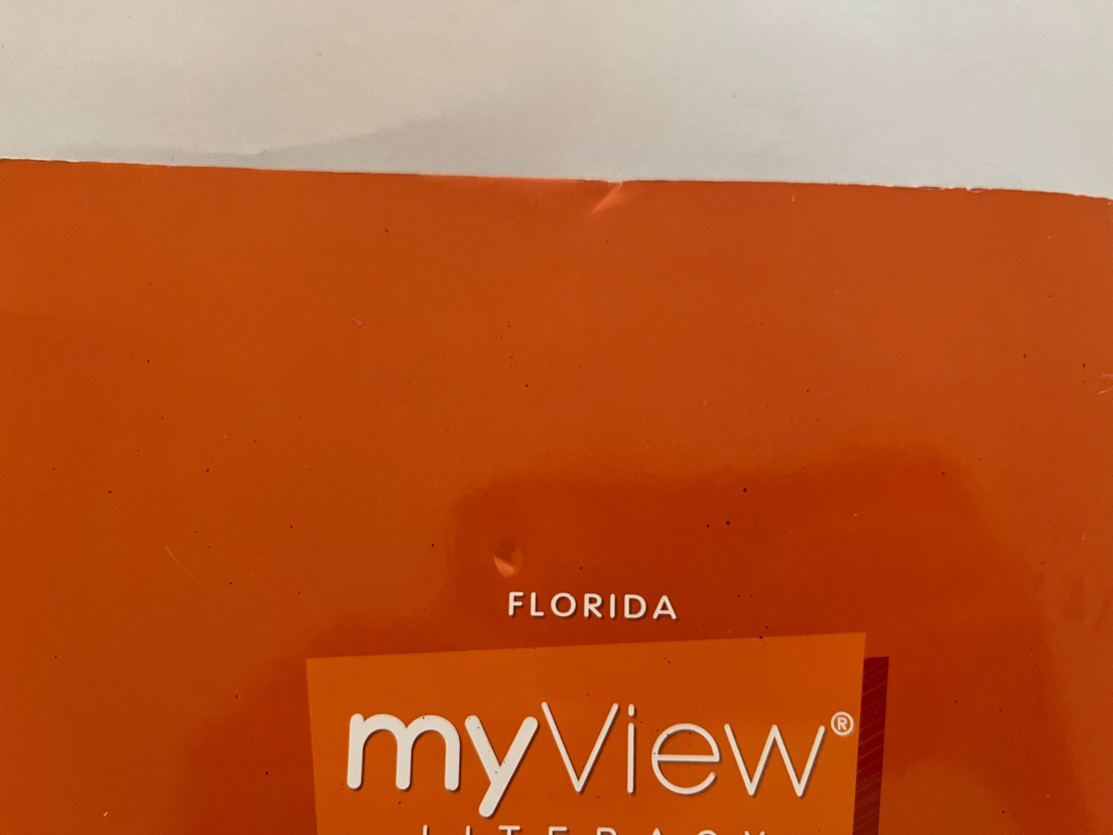 Grade 1 Fourth Unit, Florida My View Literacy Student Edition 1.4 Acceptable