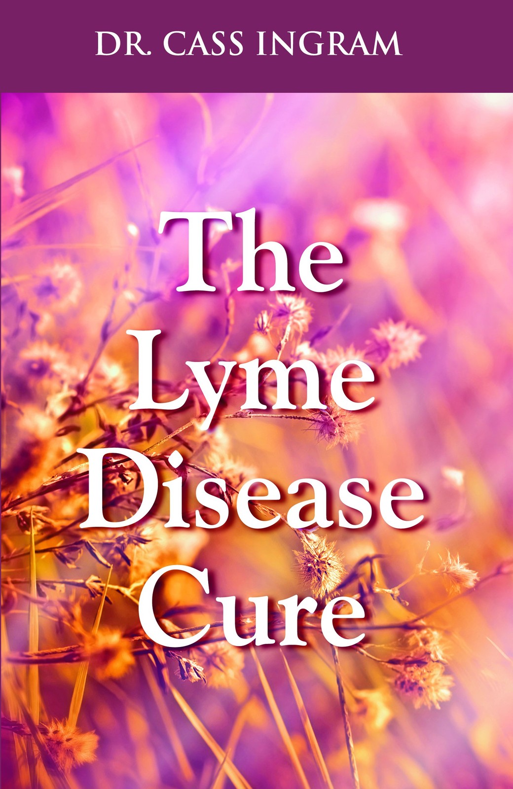 The Lyme Disease Cure – paperback Dr. Cass Ingram