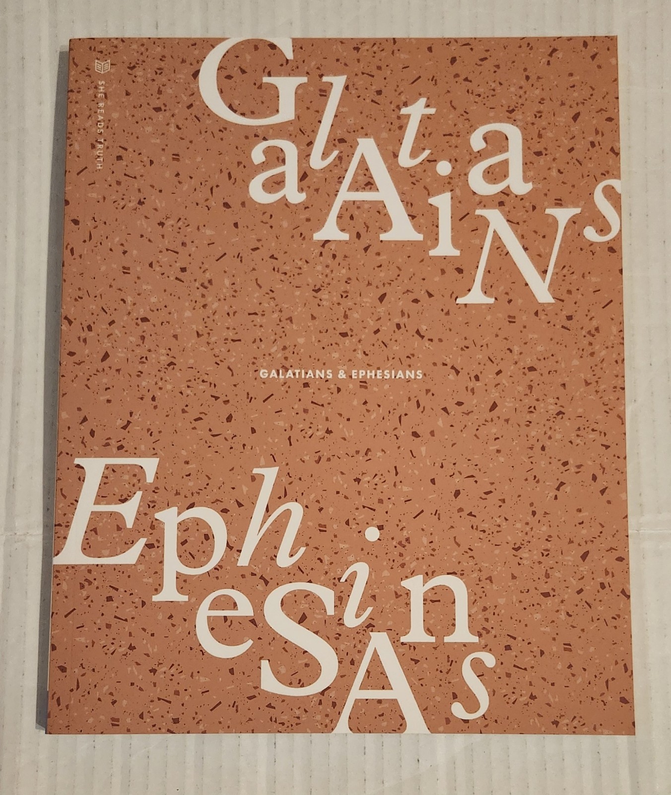 She Reads Truth GALATIANS & EPHESIANS Workbook Christian Study Guide Bible