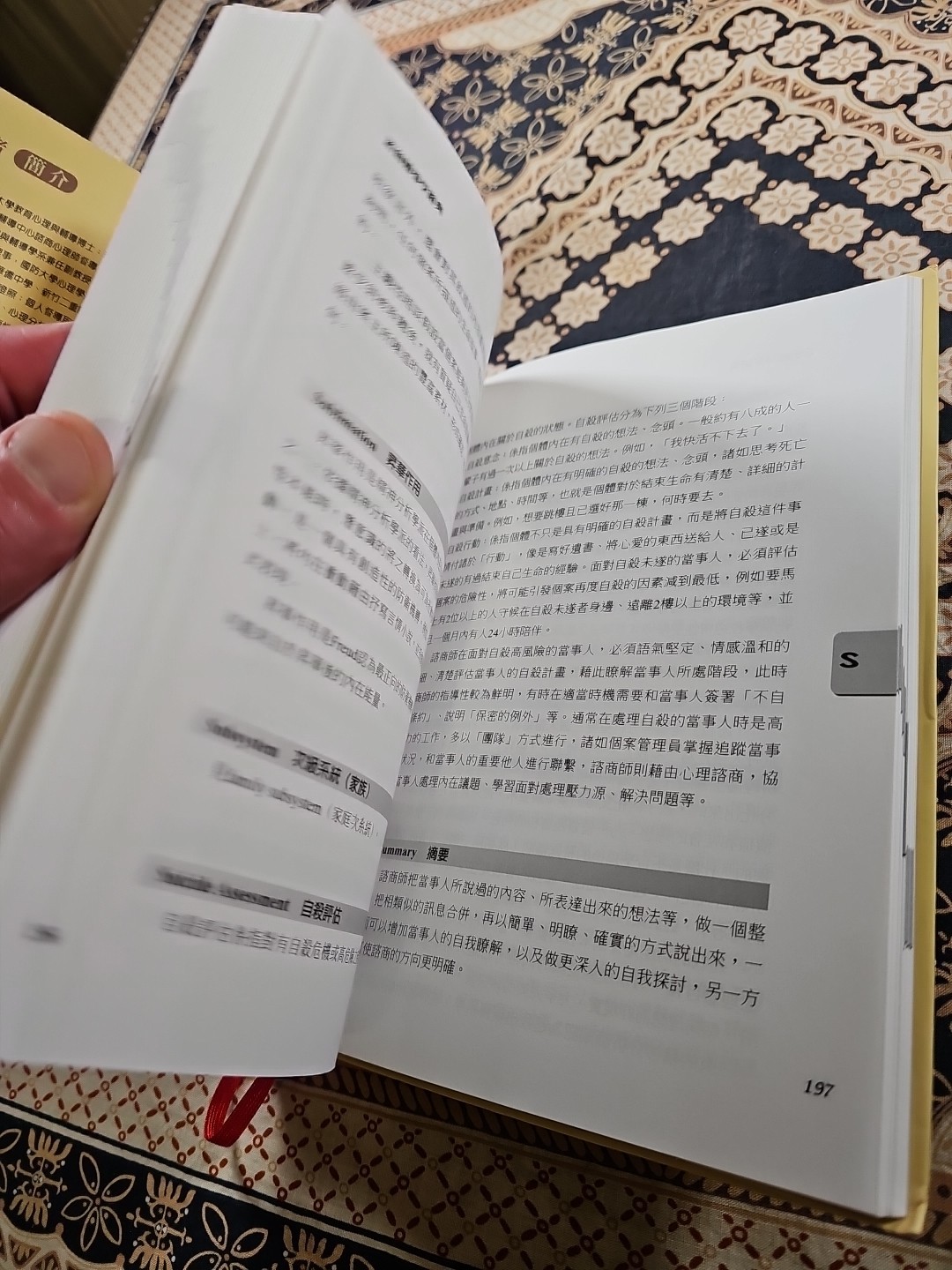 Xuechun Fan COUNSELING AND GUIDANCE DICTIONARY ~ RARE CHINESE BOOK ~ Exc. Cond.
