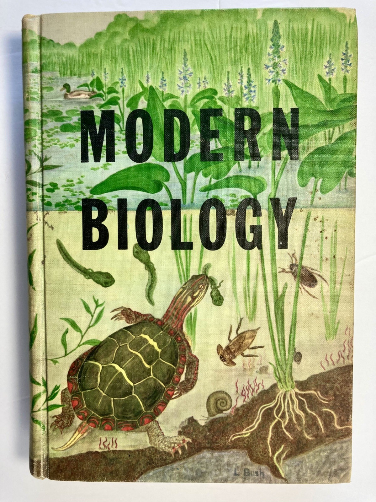 Vtg 1956 Modern Biology Textbook Green Hardcover Henry Holt Science Book EUC