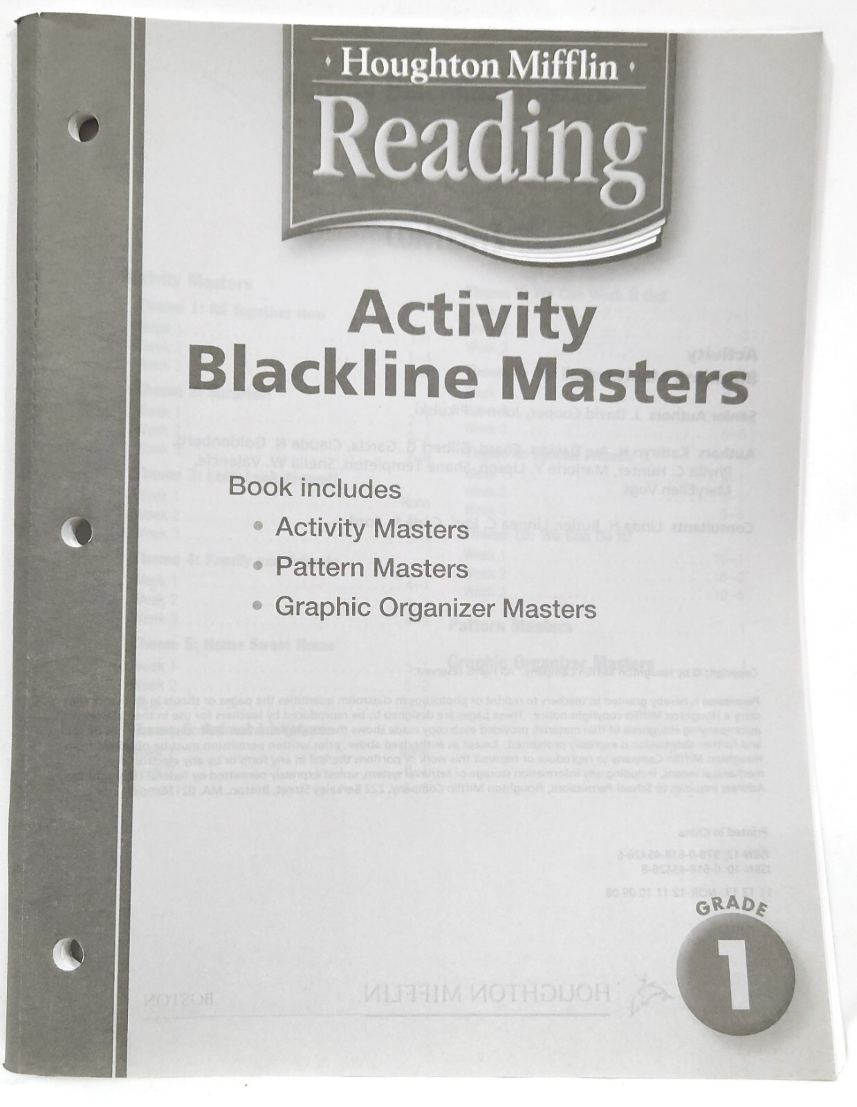 Houghton 1st Grade Reading ACTIVITY & PATTERN BLACKLINE MASTERS book homeschool