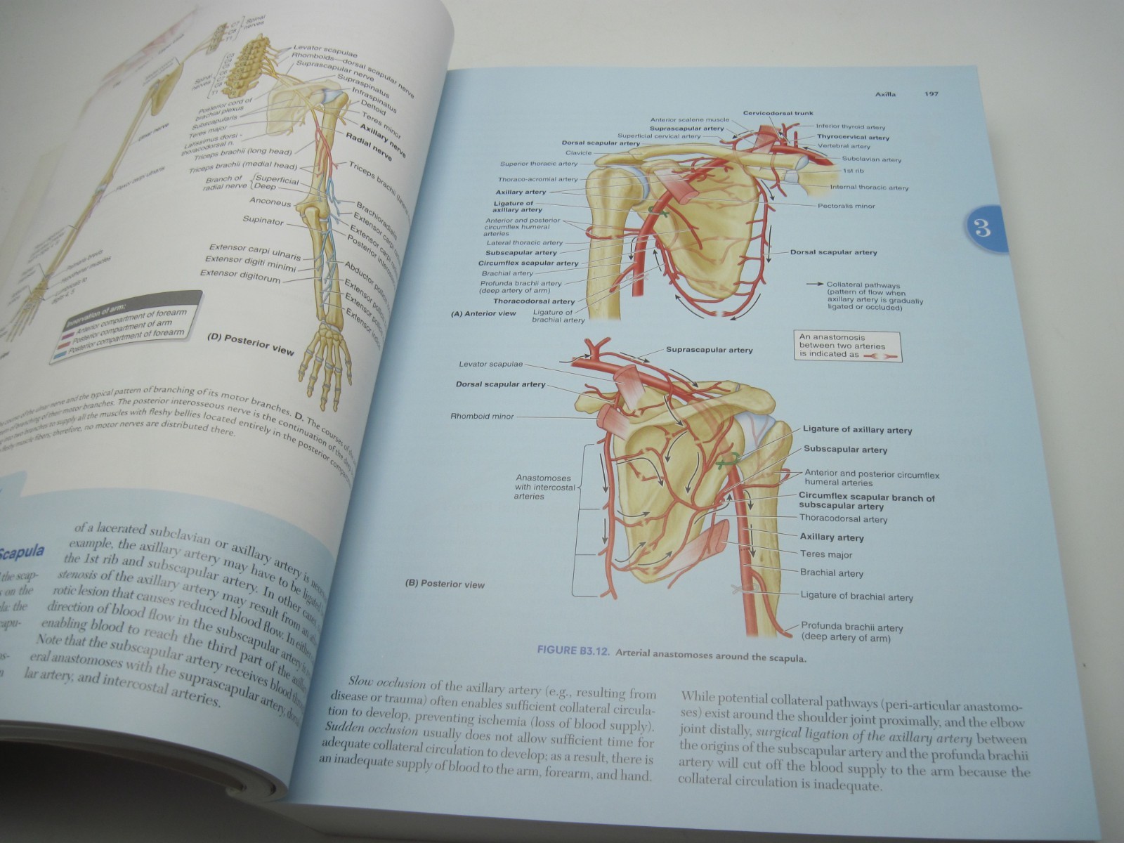 Clinically Oriented Anatomy 8e with Unused Access Code paperback Very Good!