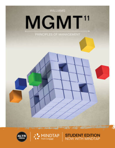 MGMT (Book Only) – Paperback By Williams, Chuck – VERY GOOD