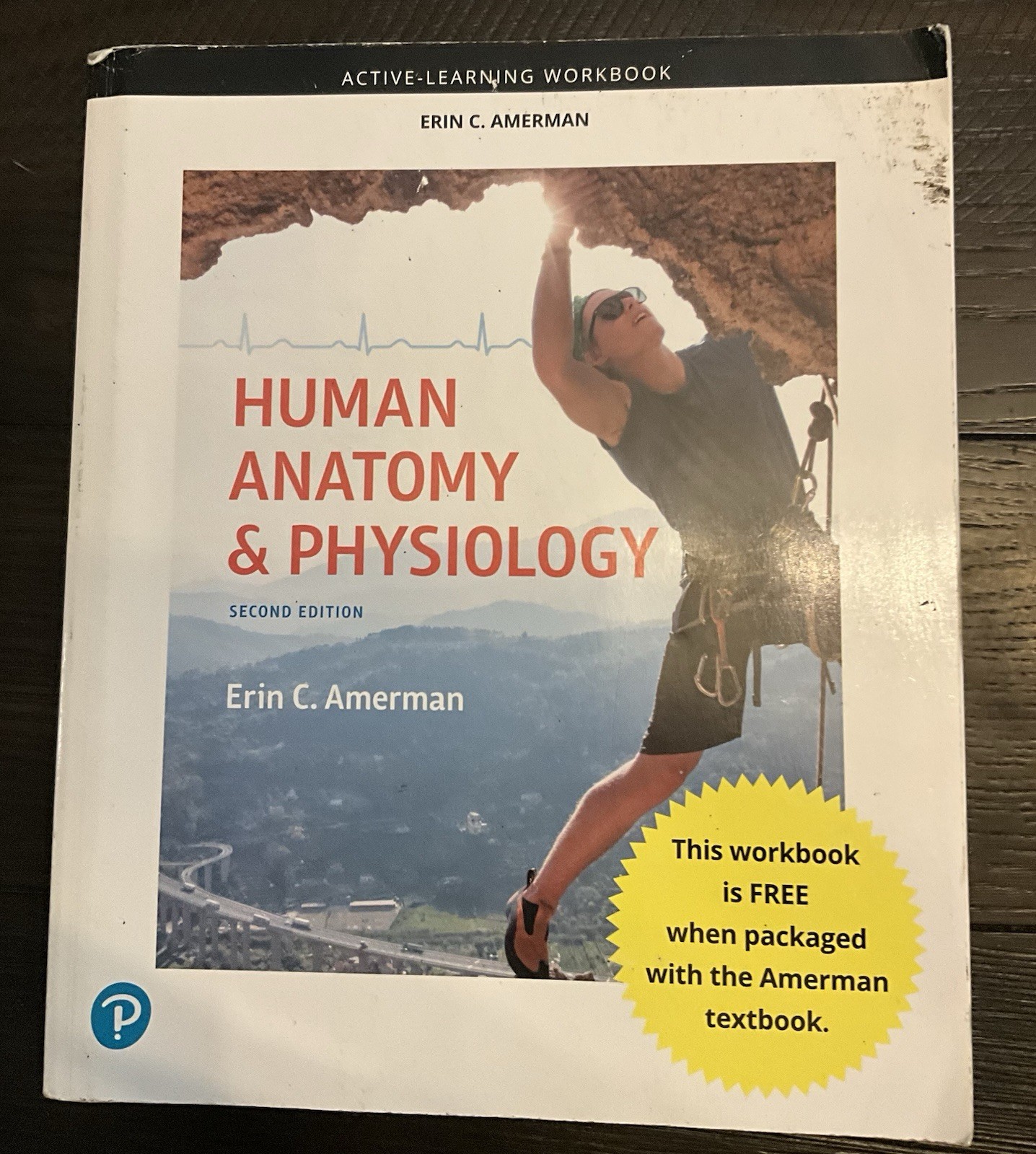 Active-Learning Workbook for Human Anatomy and Physiology by Erin C. Amerman…
