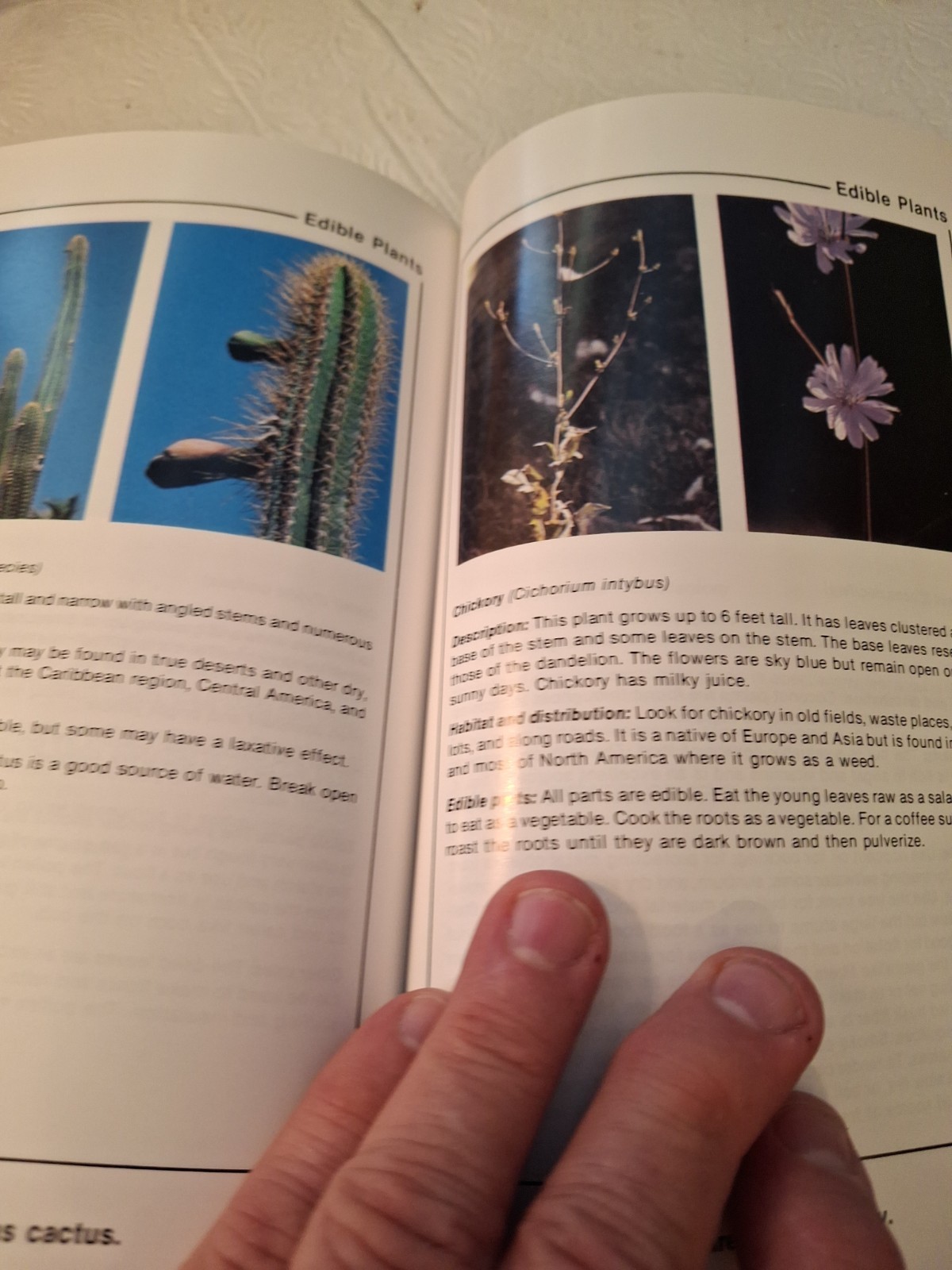 SURVIVAL MANUAL FM 21-76; Reprint