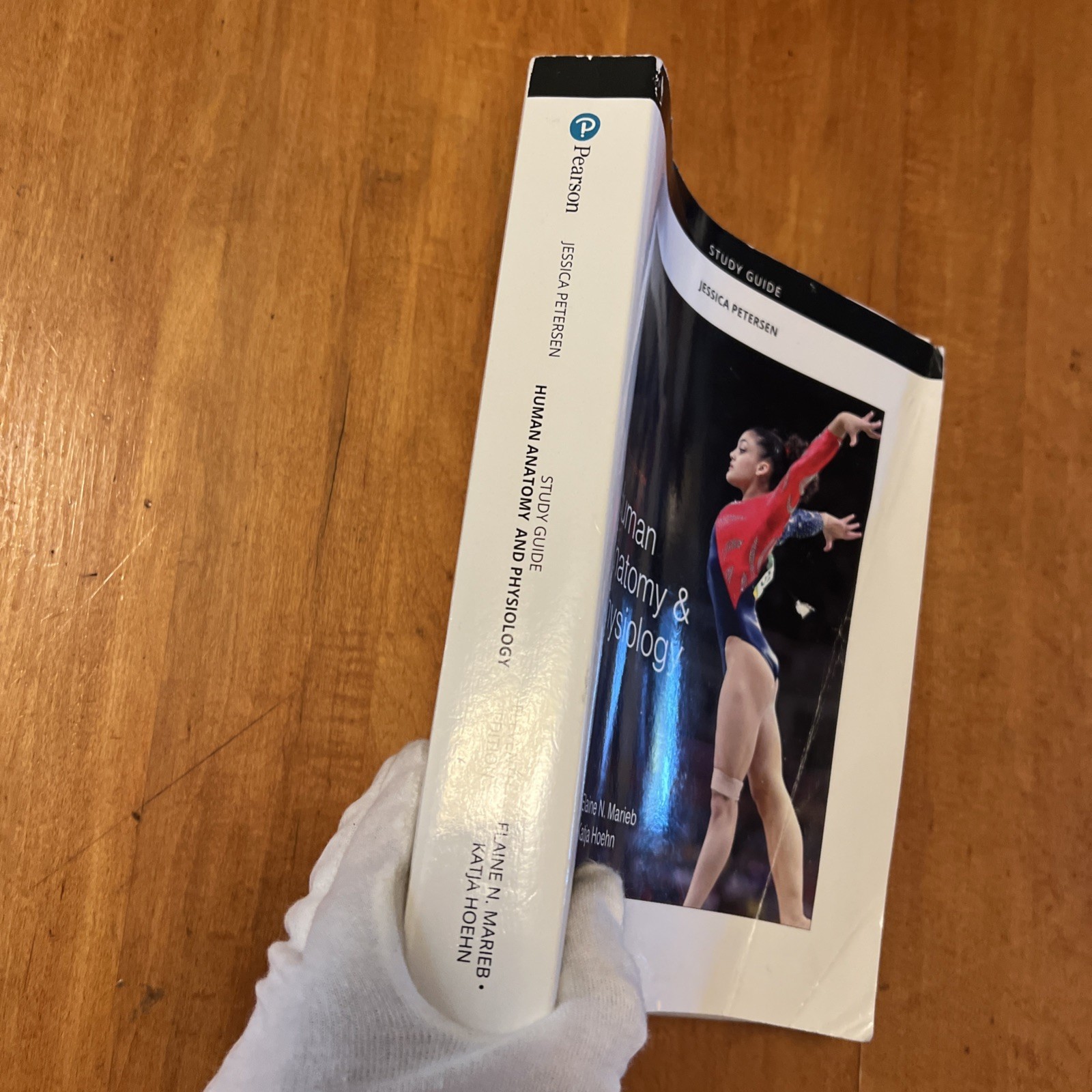 Study Guide for Human Anatomy and Physiology by Elaine Marieb and Katja Hoehn…