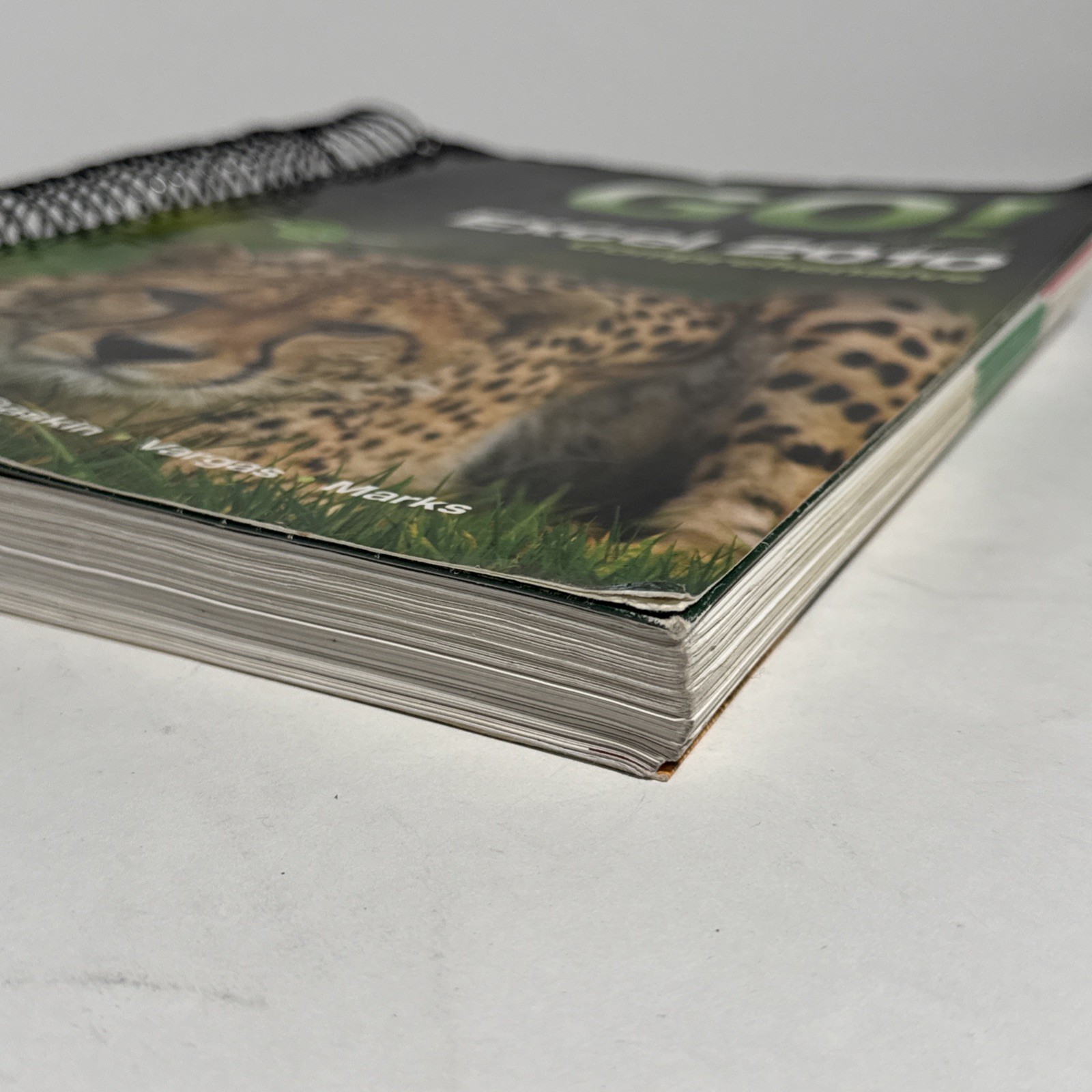 GO! WITH MICROSOFT EXCEL 2010, COMPREHENSIVE By Shelley Gaskin & Alicia Vargas