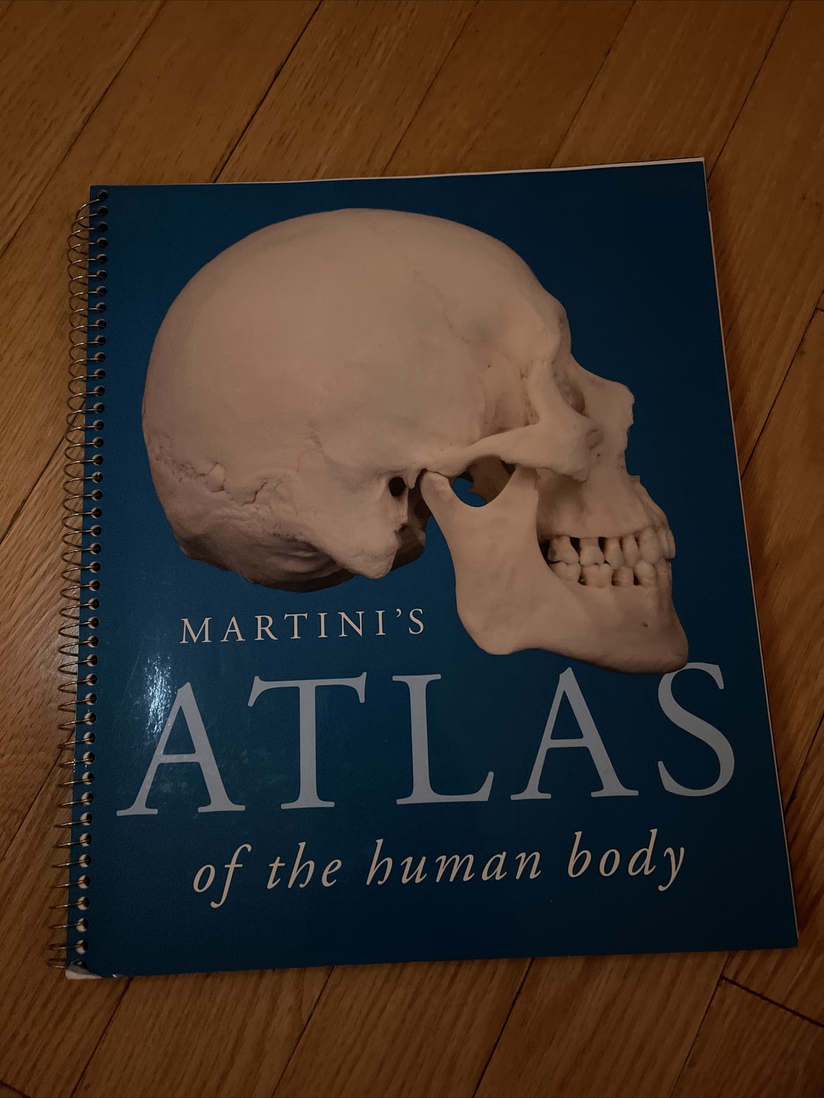 Martini’s Atlas of the Human Body (ValuePack Version) by Judi L. Nath, Frederic