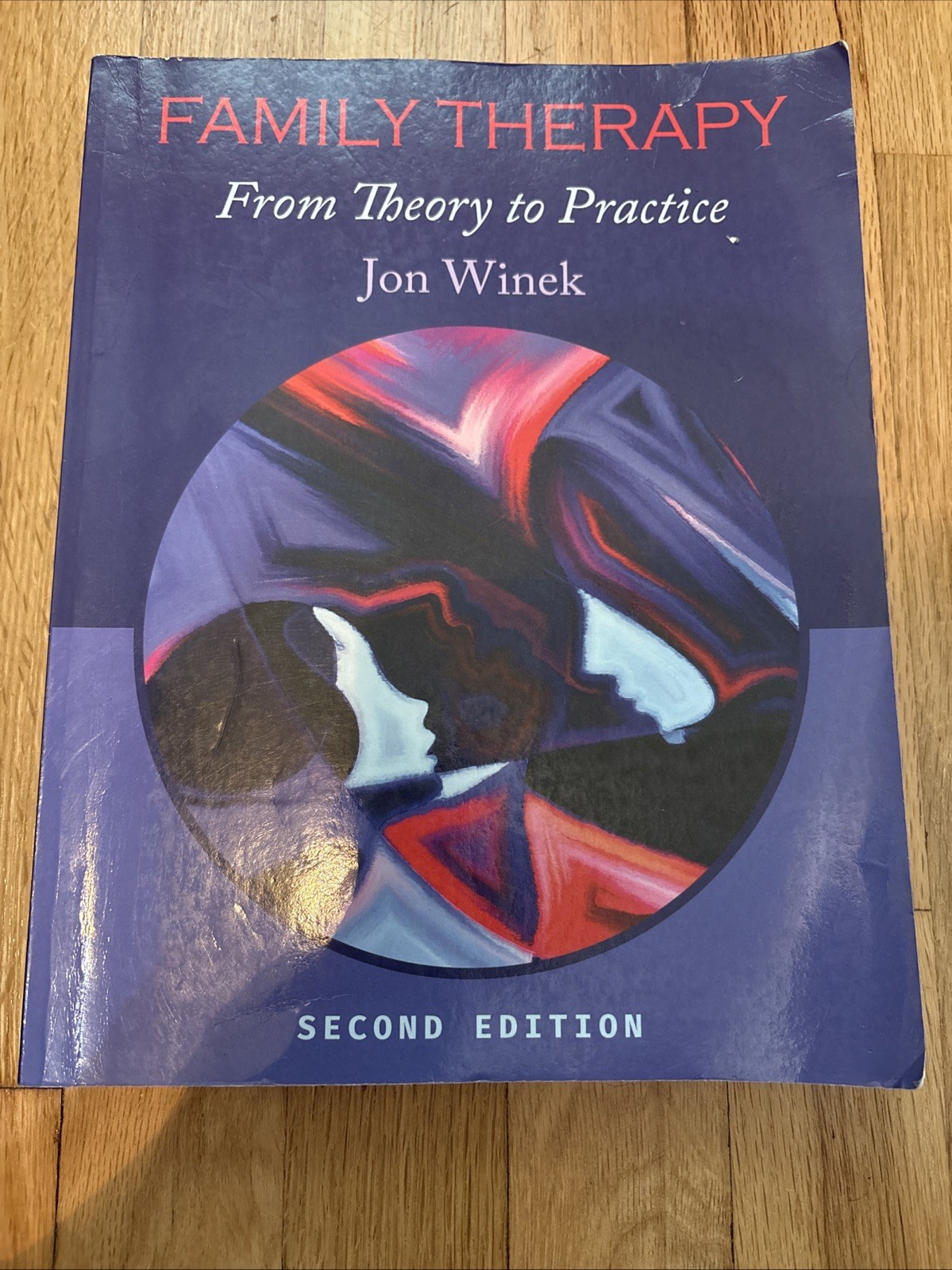 Family Therapy : From Theory to Practice by Jon Winek (2016, Trade Paperback)