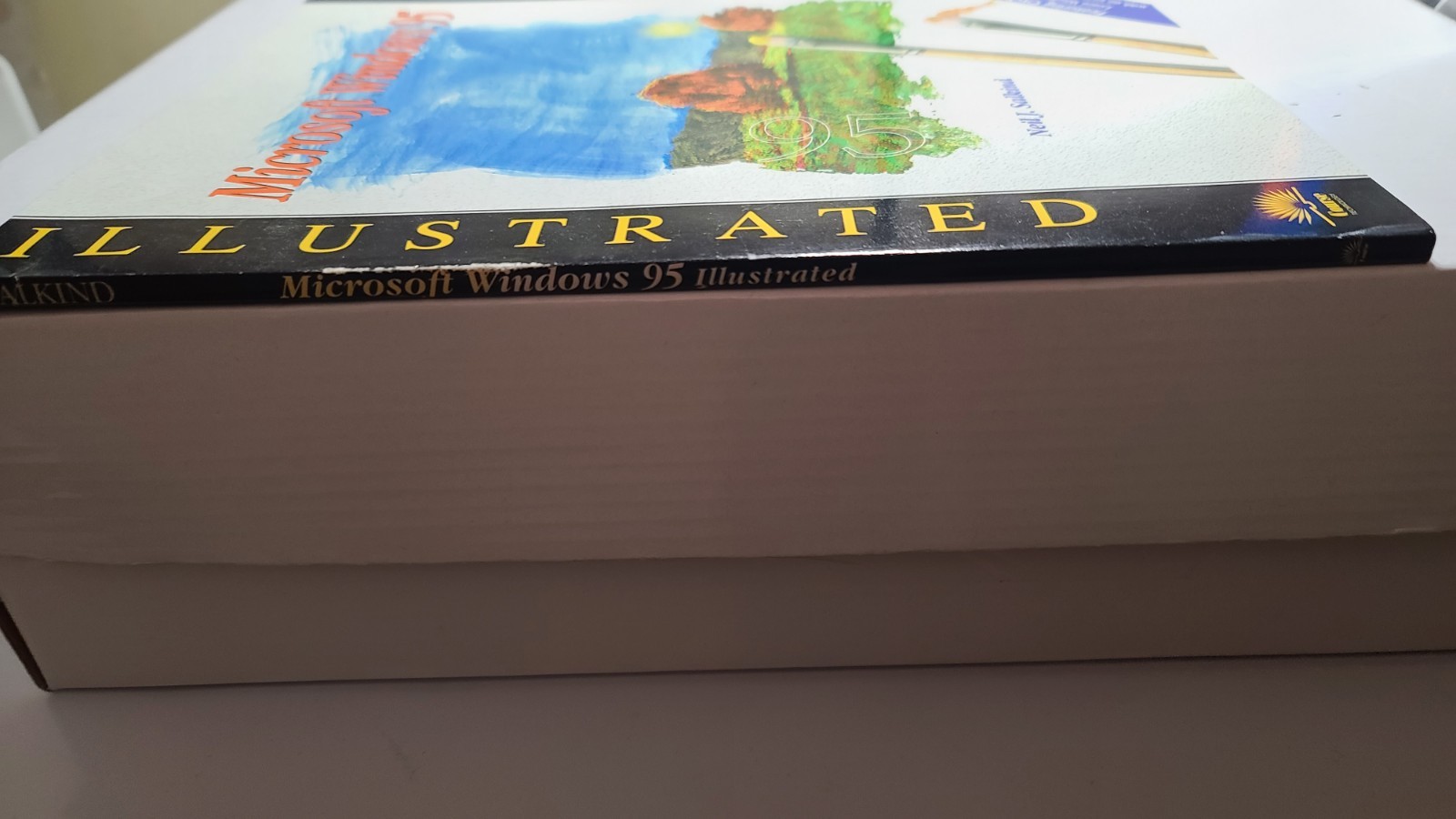 Microsoft Windows 95 : Illustrated Paperback by Neil J. Salkind -Microsoft