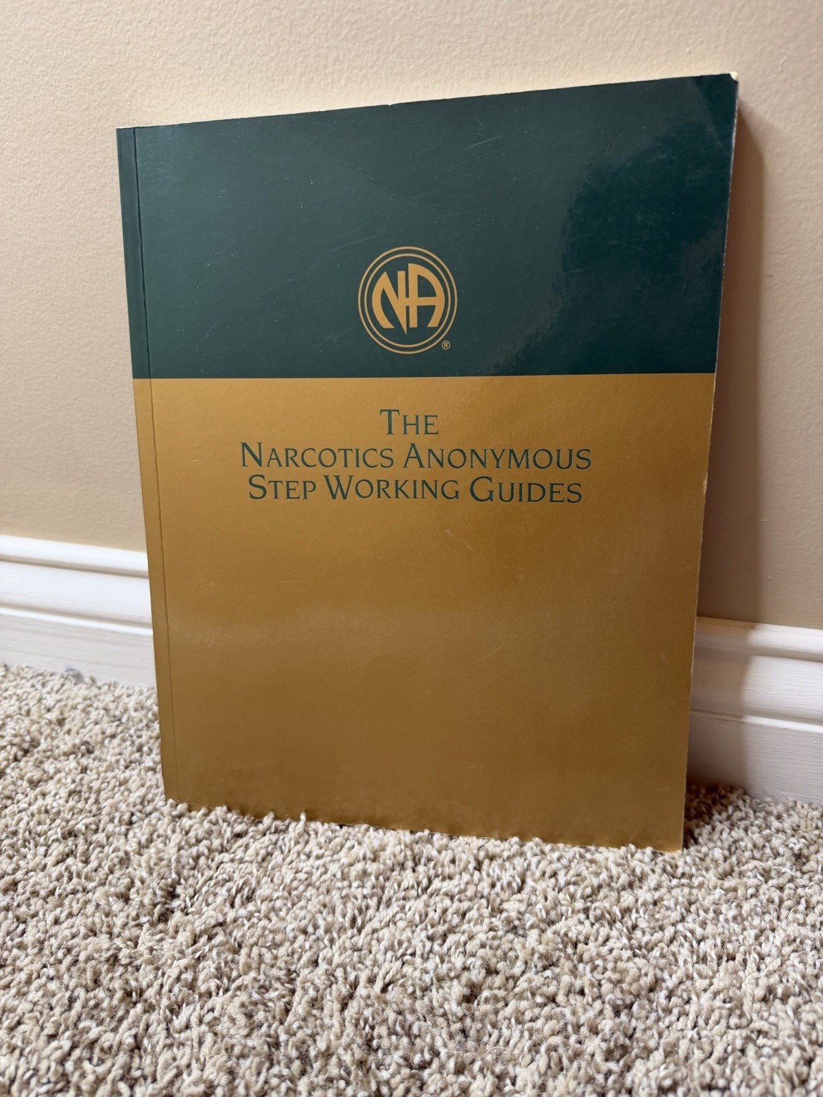 Narcotics Anonymous Step Working Guides – Paperback 1998