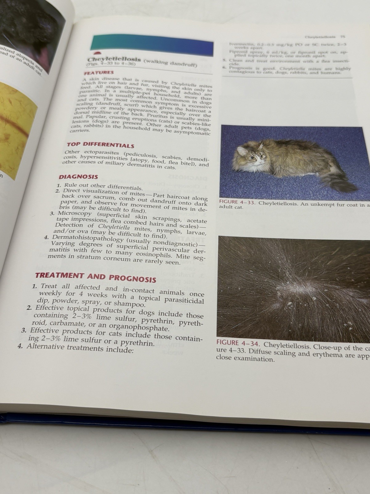 Small Animal Dermatology Color Atlas Therapeutic Guide Medleau Hnilica HC 2001