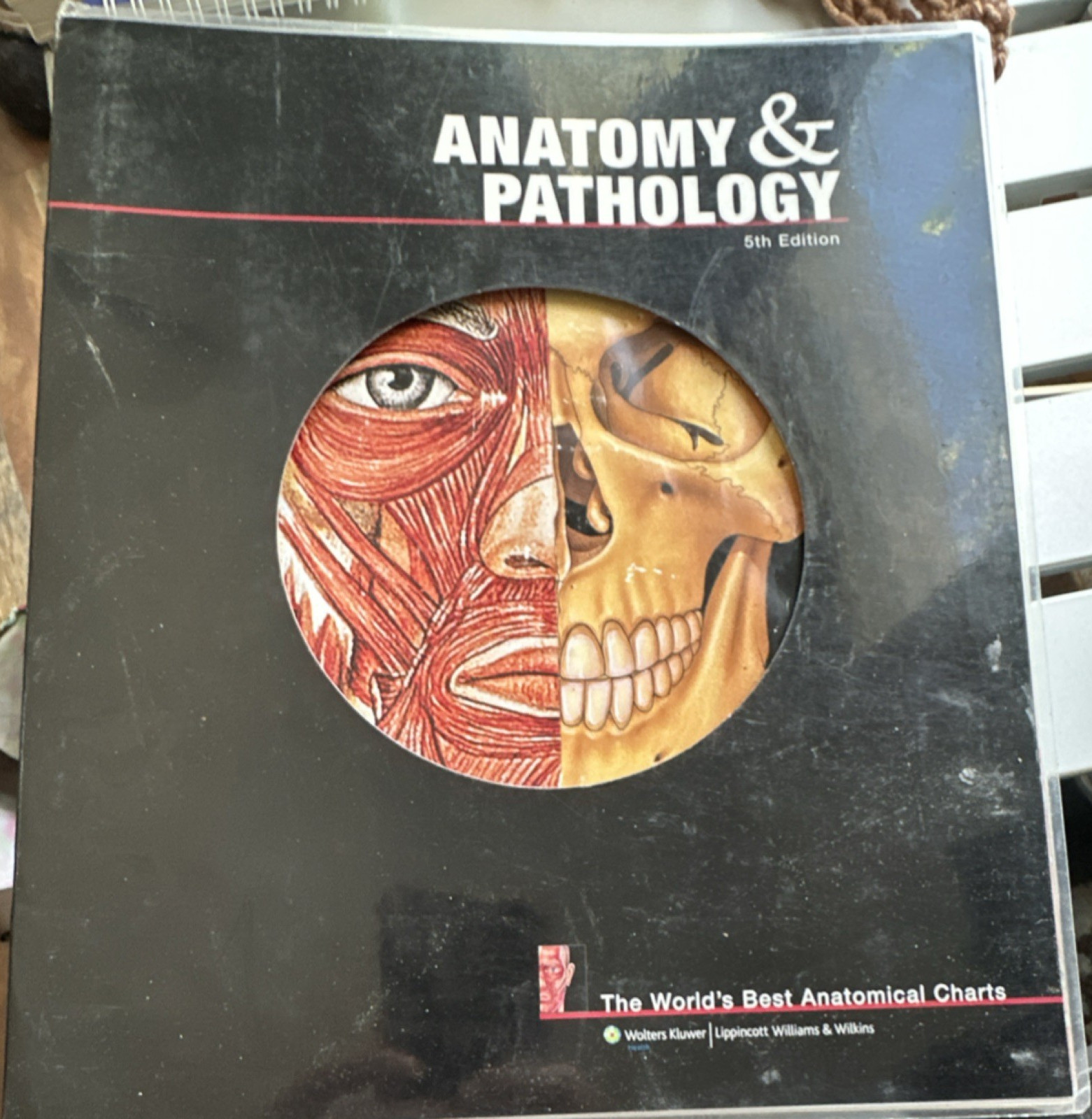 Anatomical Chart Company Anatomy & Pathology 5th Ed Ring/Wire Bound (2008)