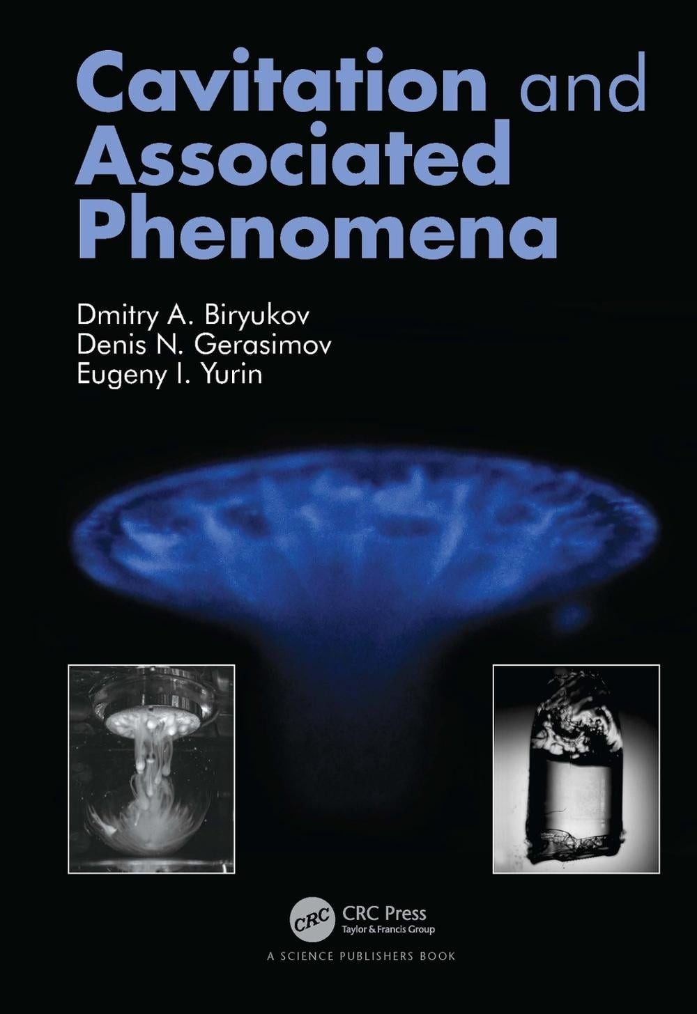 Cavitation and Associated Phenomena by Dmitry Biryukov Paperback Book