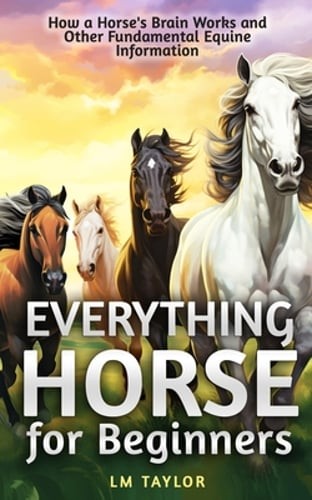 Everything Horse for Beginners by LM Taylor: Used