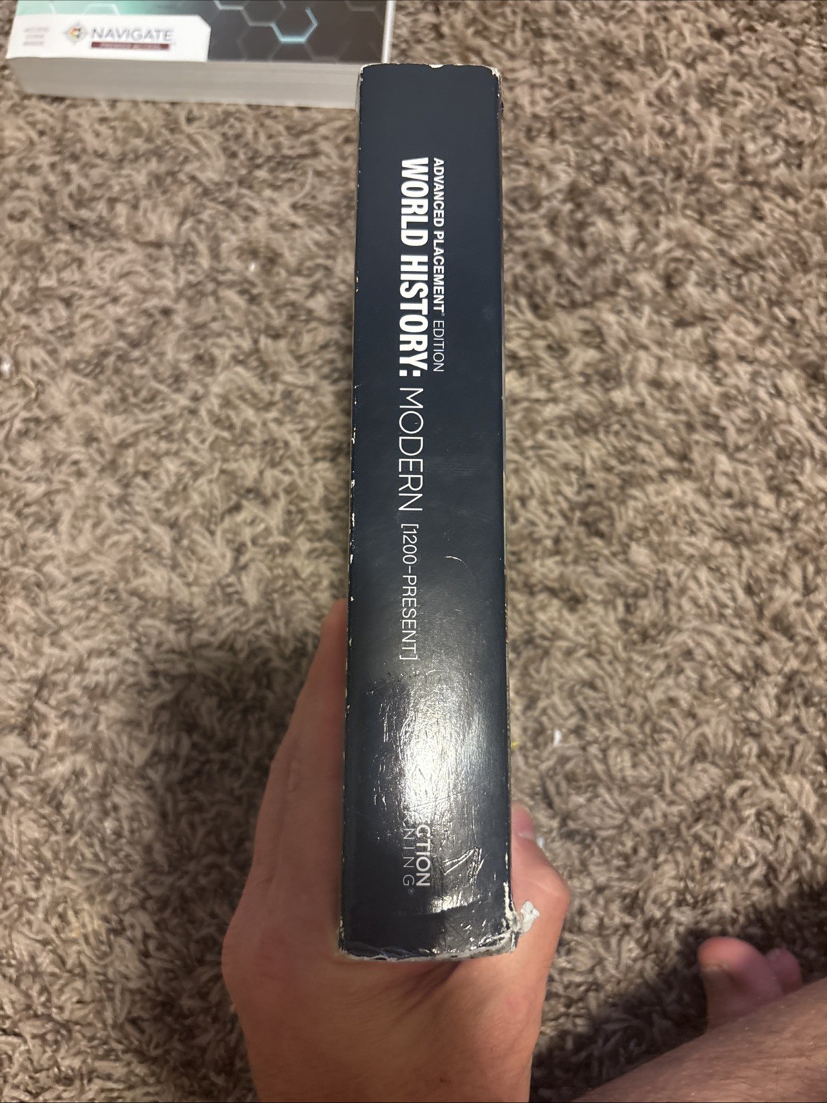 Advanced Placement World History: Modern AMSCO (1200-PRESENT)