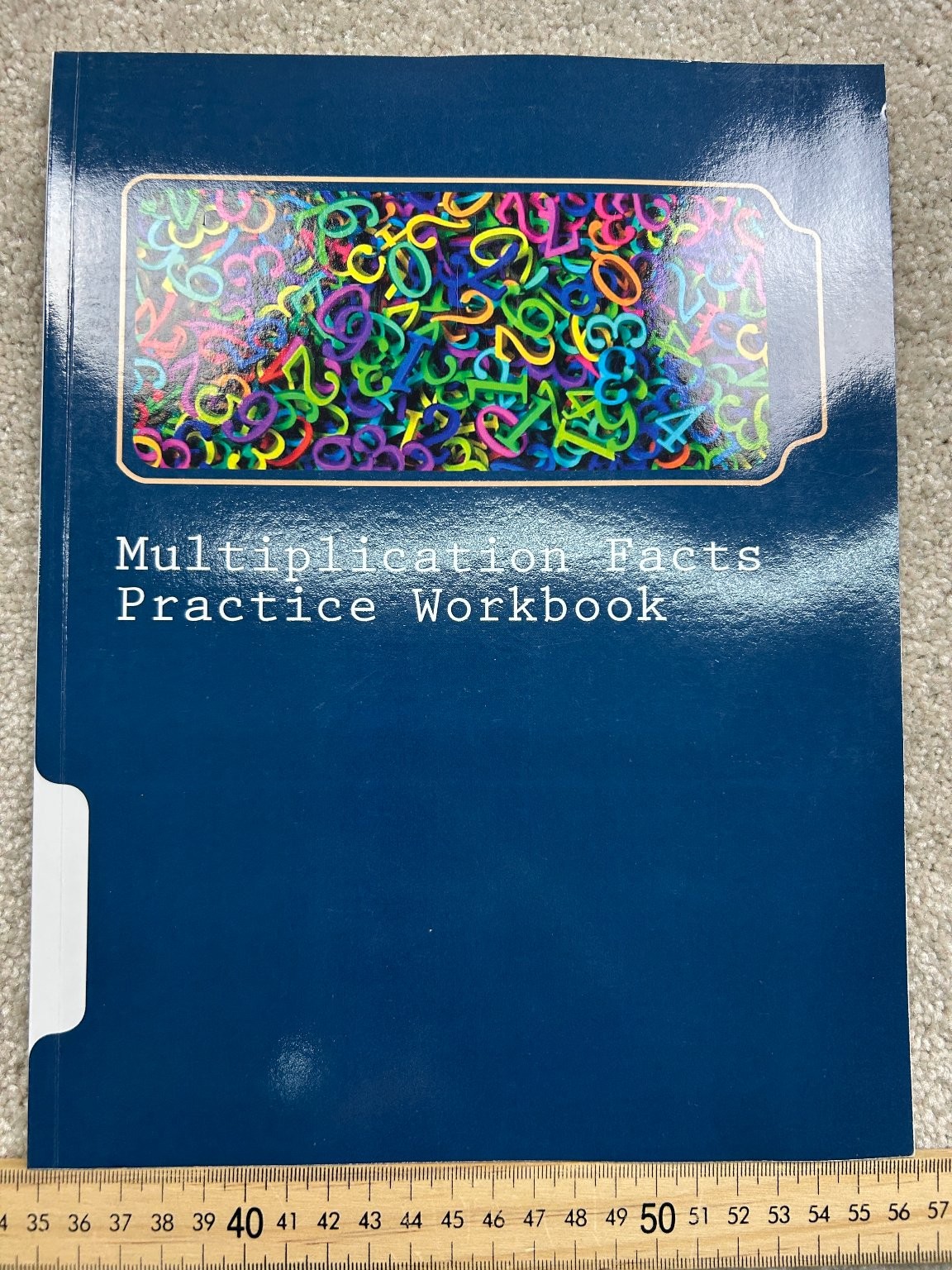 Multiplication Facts Practice Workbook Lee Giles 2016 Math Education