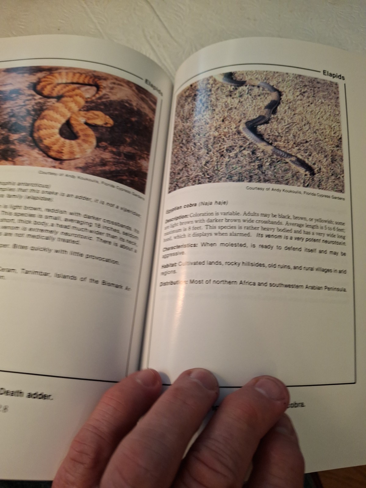SURVIVAL MANUAL FM 21-76; Reprint