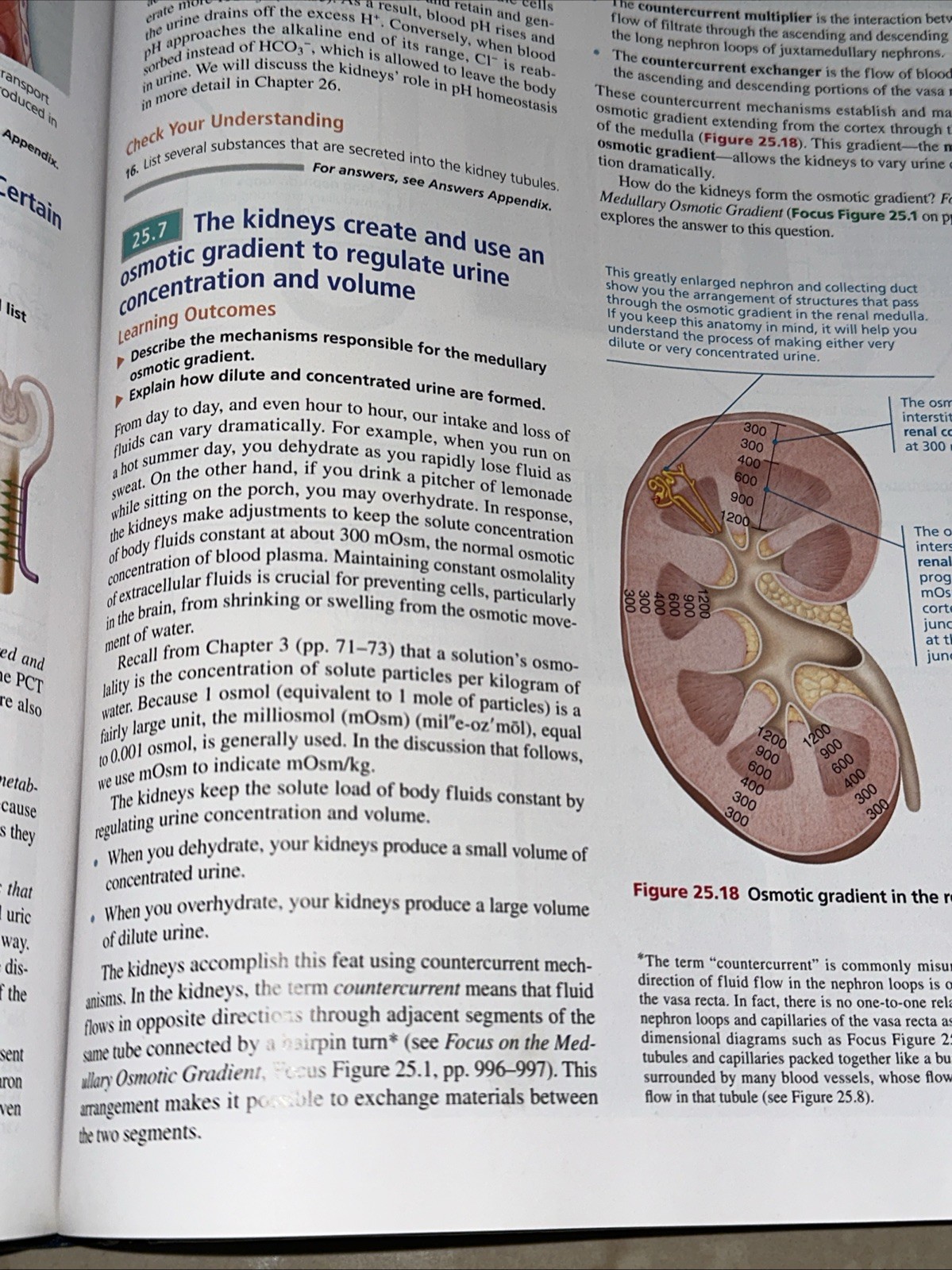 Human Anatomy and Physiology by Elaine Marieb and Katja Hoehn (2018, Hardcover)