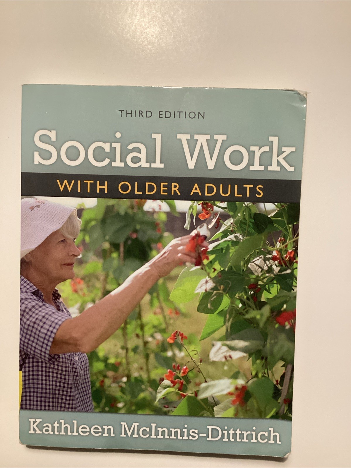 Social Work with Older Adults by Kathleen McInnis-Dittrich (2008, Trade…