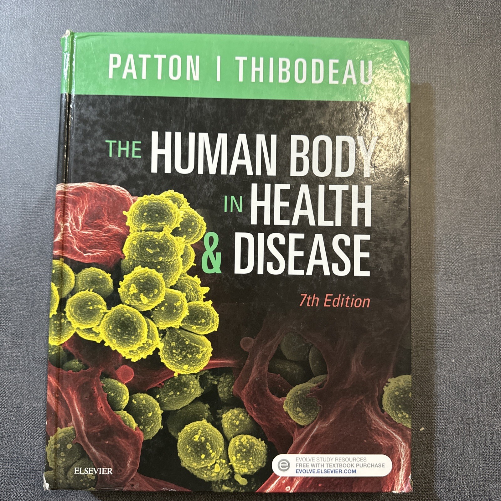 The Human Body in Health & Disease by Gary A Thibodeau