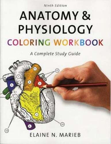 Anatomy & Physiology Coloring Workbook: A Complete Study Guide by Elaine Marieb