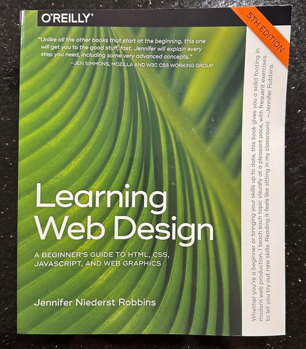 Learning Web Design : A Beginner’s Guide to HTML, CSS, JavaScript, and Web…